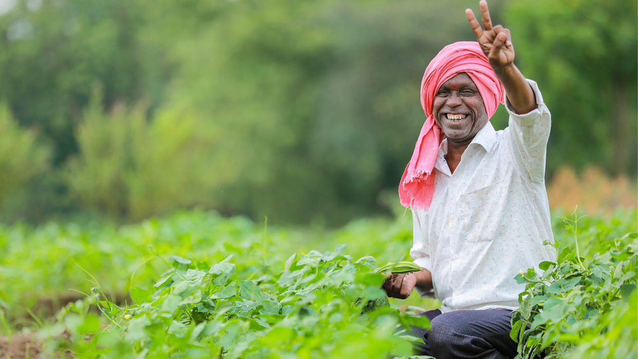 PM Kisan 21st Installment 2025 Date Check PM Kisan Samman Nidhi 21 Kist Kab Aayegi Status Check
