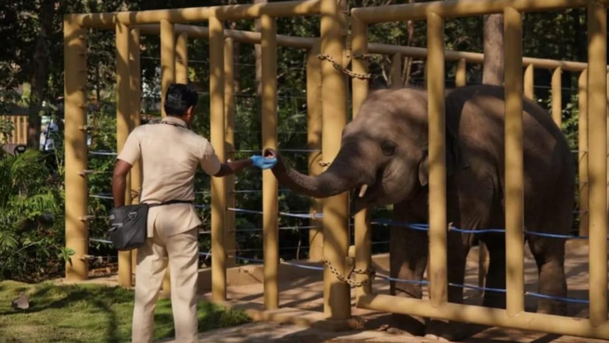 Vantara has become the new standard for animal protection in the world
