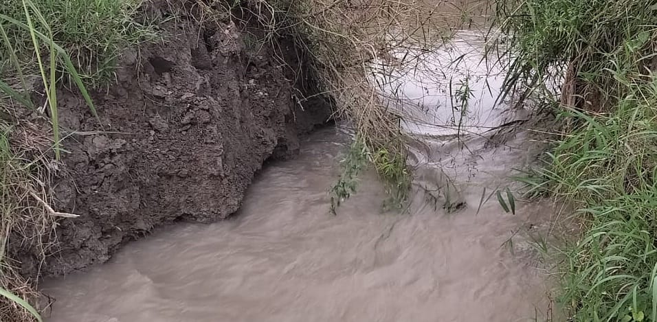 Kanpur Farmers hard work submerged in water hundreds of acres of crops destroy due to bursting of canal track