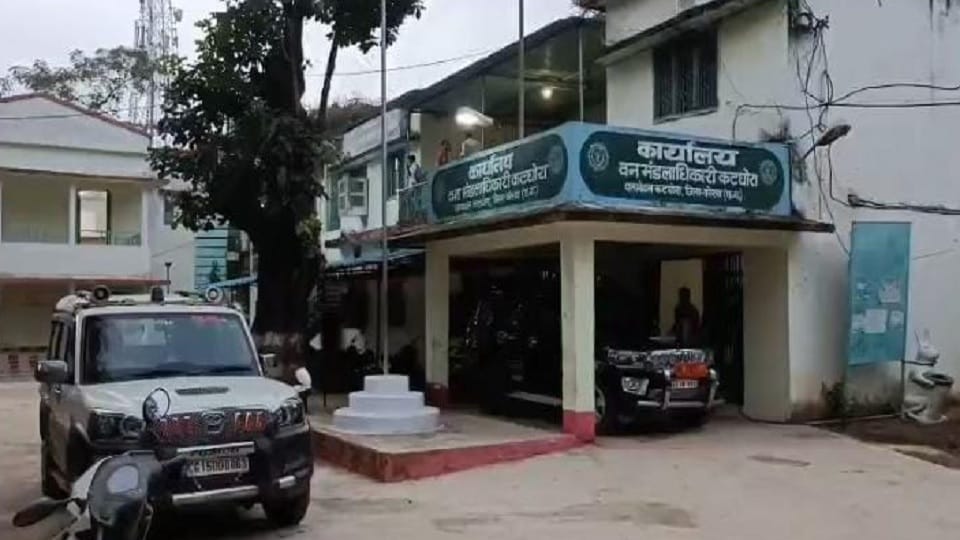 Korba News