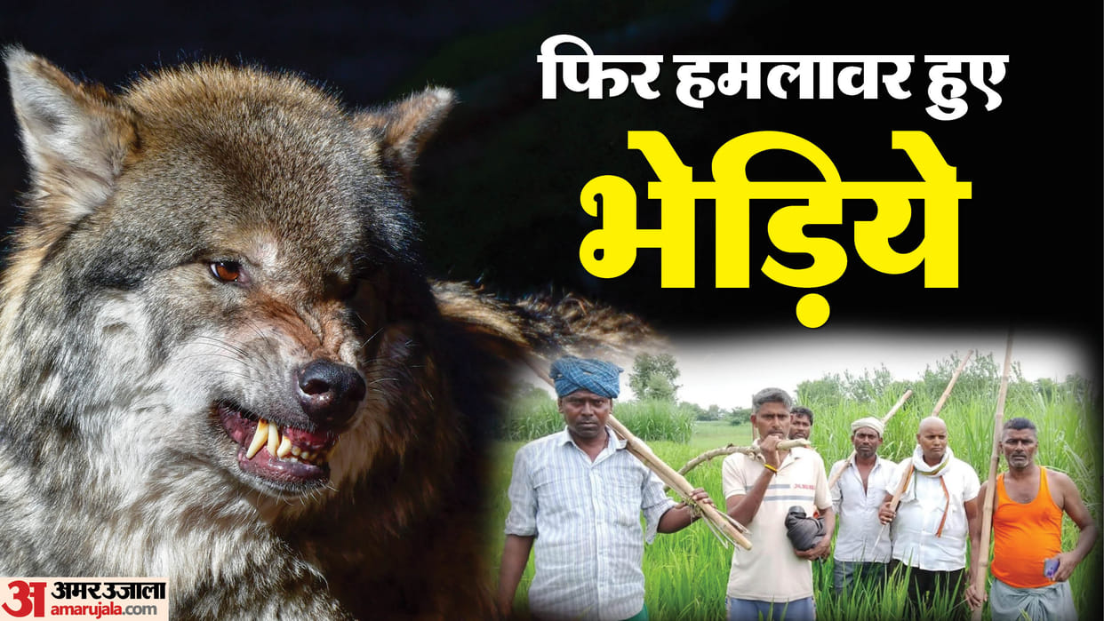 Wolves terrorize Uttar Pradesh Couple chewed alive Bahraich villagers trapped in their home