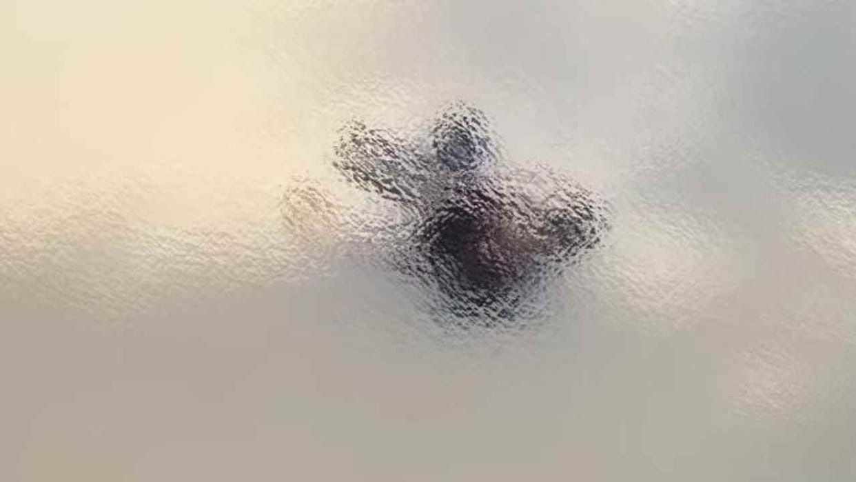 20-year-old woman dead body not established even after 24 hours
