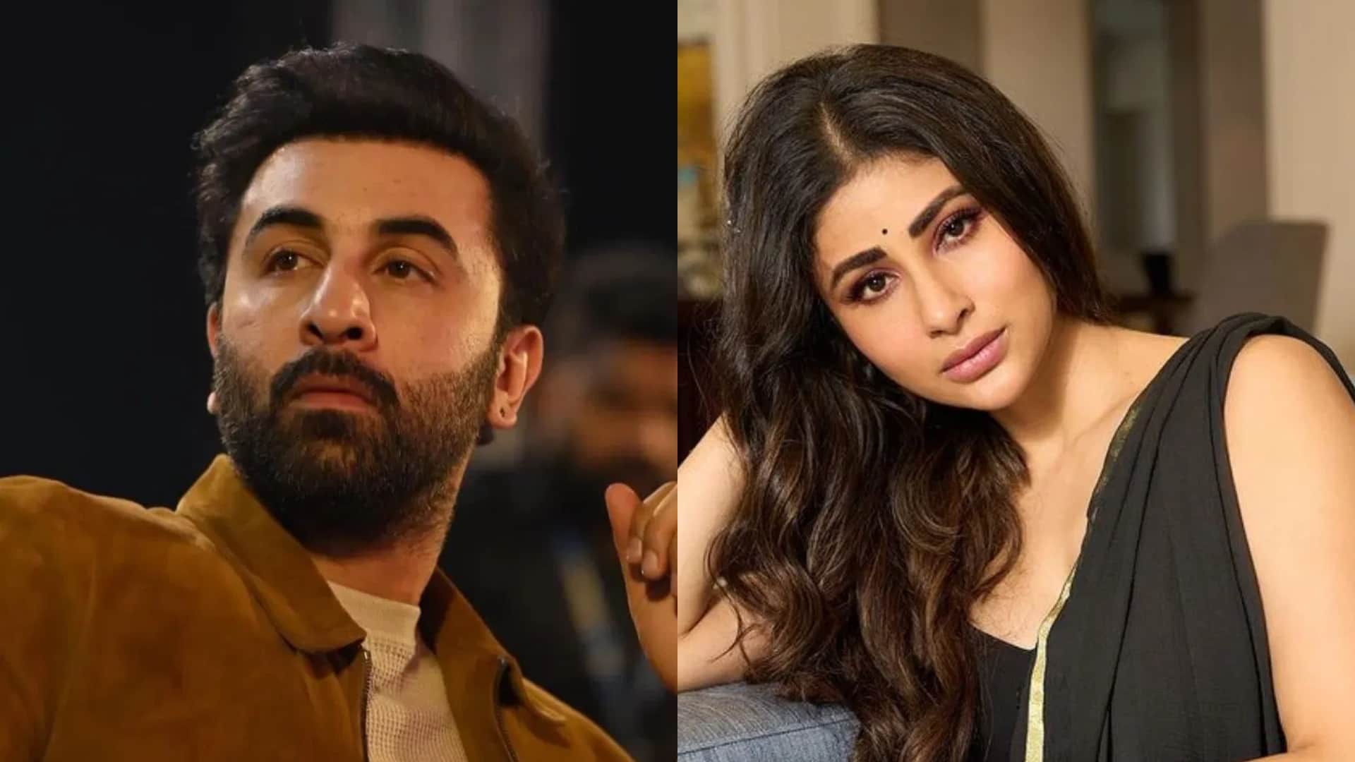 Bollywood Stars Caught in Their Own Lies Ranbir Kapoor Mouni Roy Ranveer Singh Farah Khan Reveals