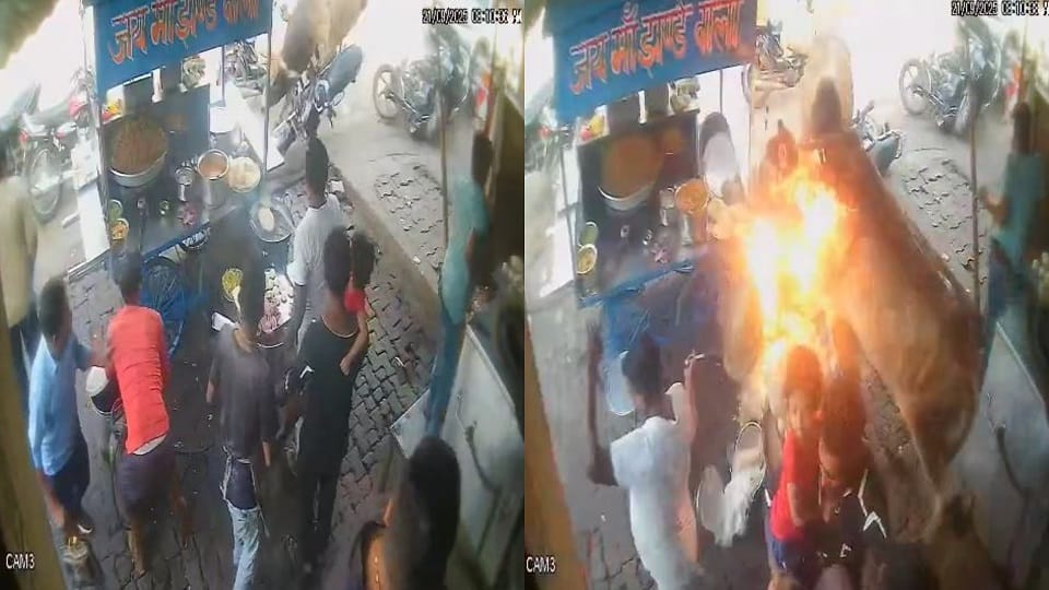 Bulls created a ruckus and broke cart in kasganj