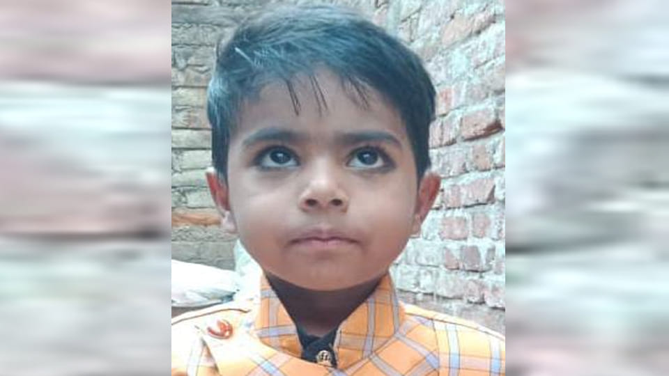 Etawah Accident: Bike rider dies after being hit by a car, father seriously injured