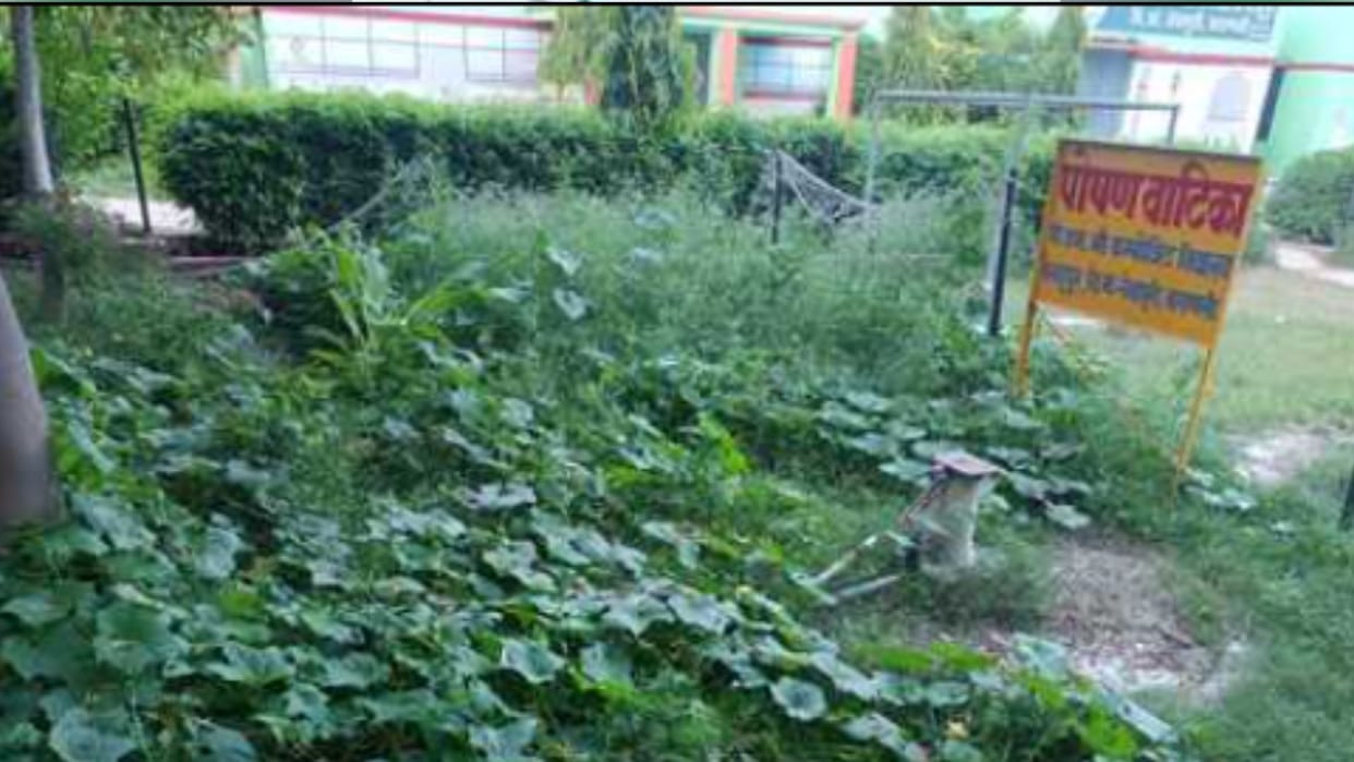 Varanasi school garden food program in 60% of primary schools suffering from malnutrition