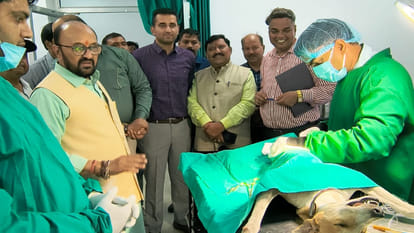 Kanpur: Cabinet Minister arrived to inspect Kanha Gaushala, performed cow worship, also fed jaggery and banana