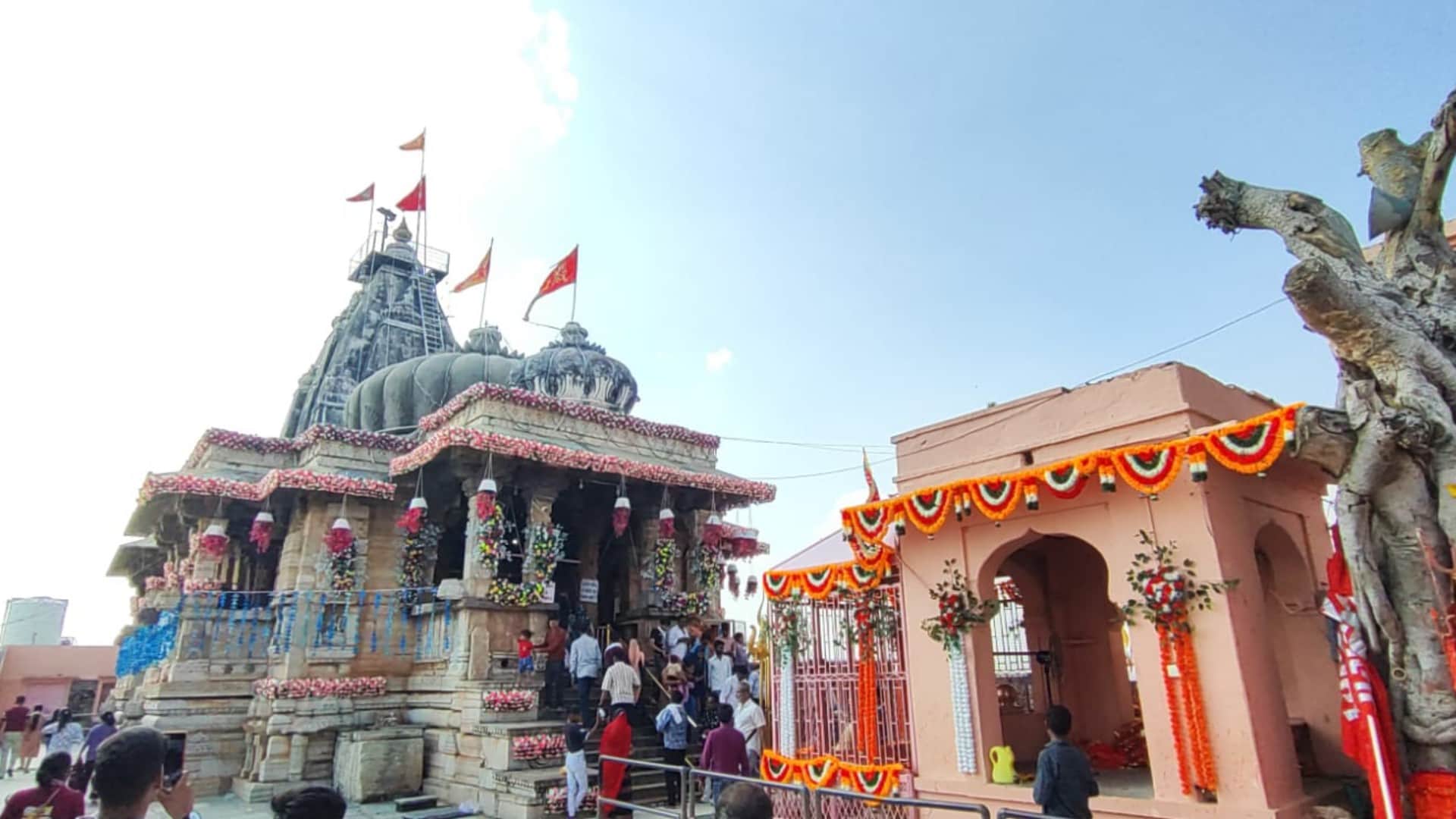 Navratri 2025: Once worshipped as Sun, today it is Shaktipeeth of Kalika; temple stood despite Mughal attacks