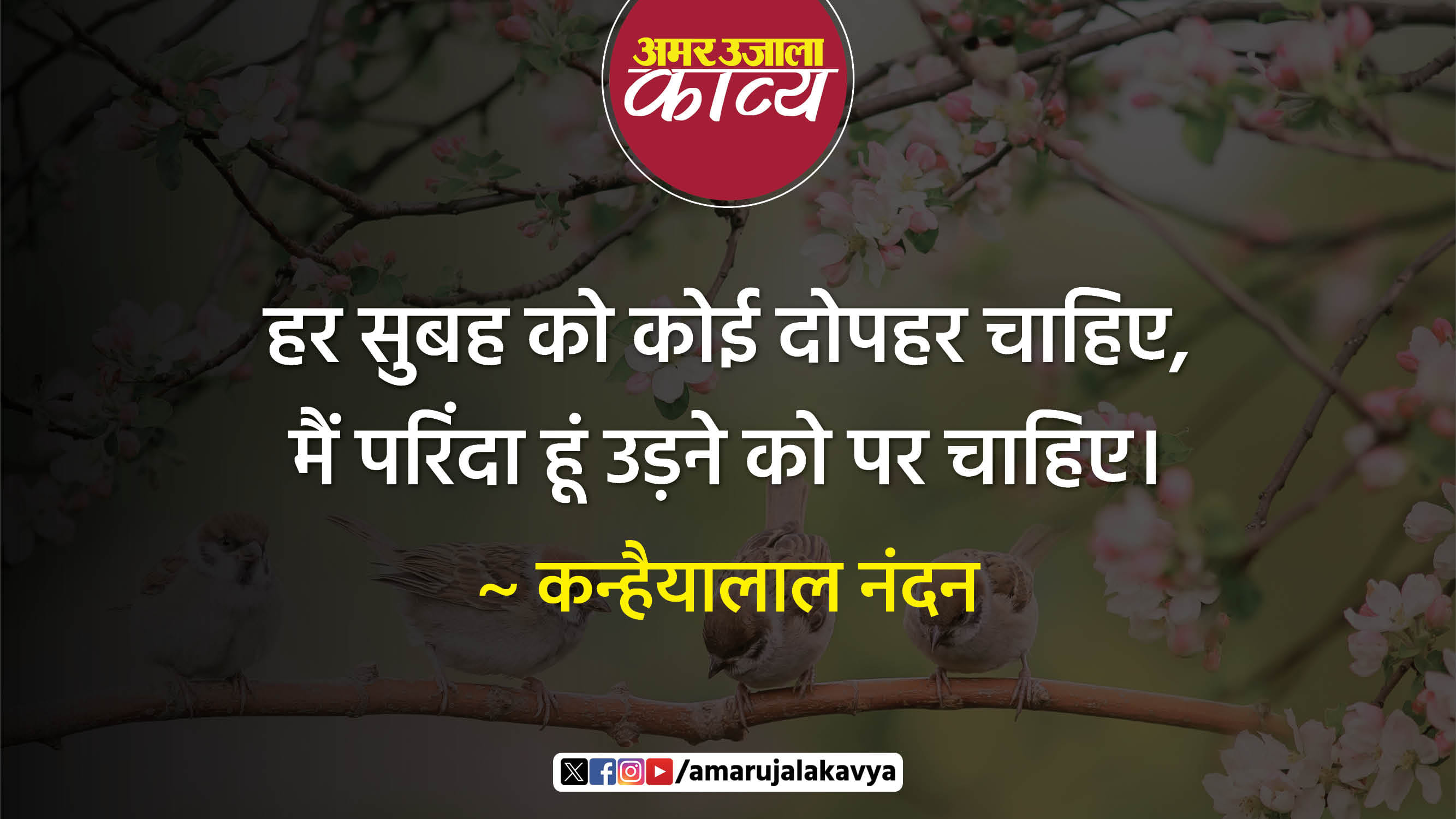 उर्दू अदब