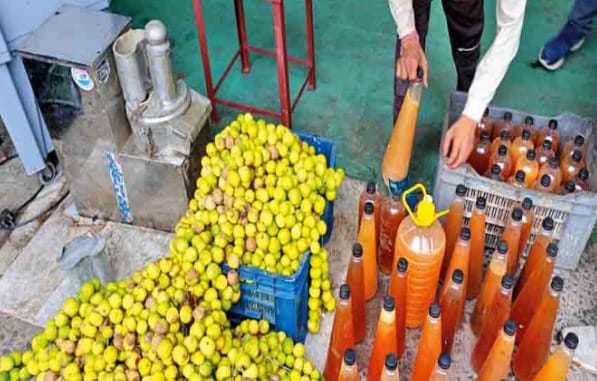 Bhopal: Bhopal Municipal Corporation's unique initiative, collecting lemons from 1800 Durga tableaux in the ci