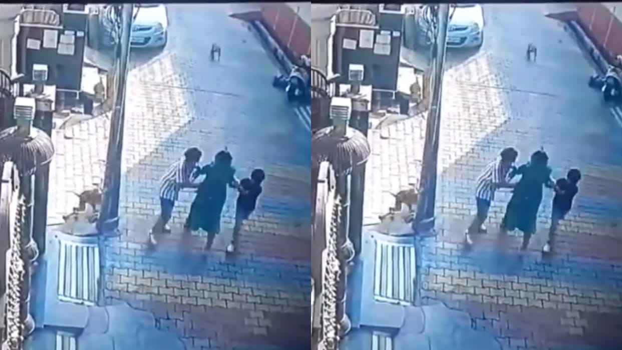 A group of monkeys attacked three people riding a scooter panicking locals video goes viral