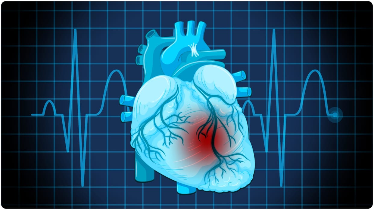 Study: Vitamin D-3 more effective for muscle and heart health.