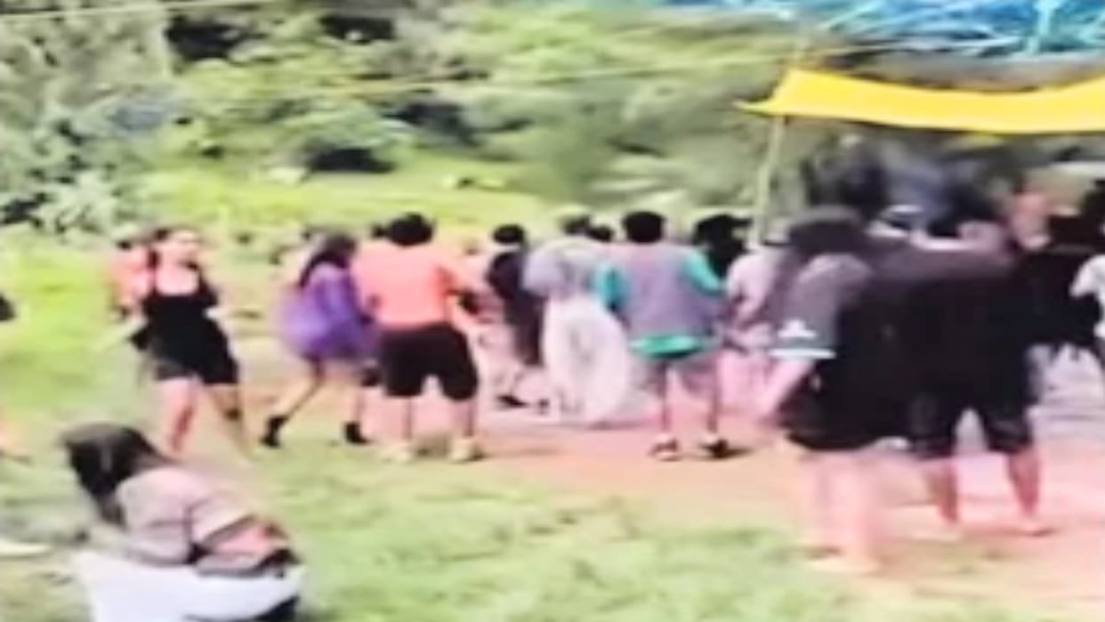 Police raid DJ party in Tulga forest, one person booked
