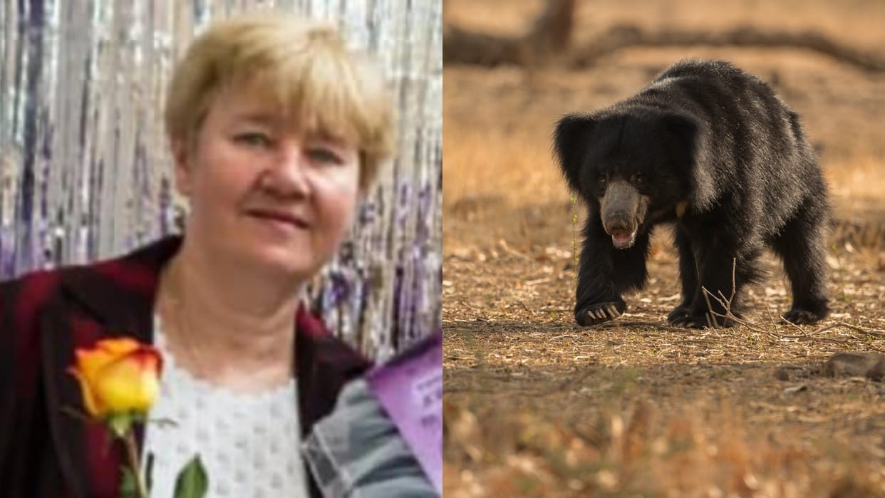 A woman went to pick fruit in the forest was attacked by a bear dragged scratched and chewed Post goes viral