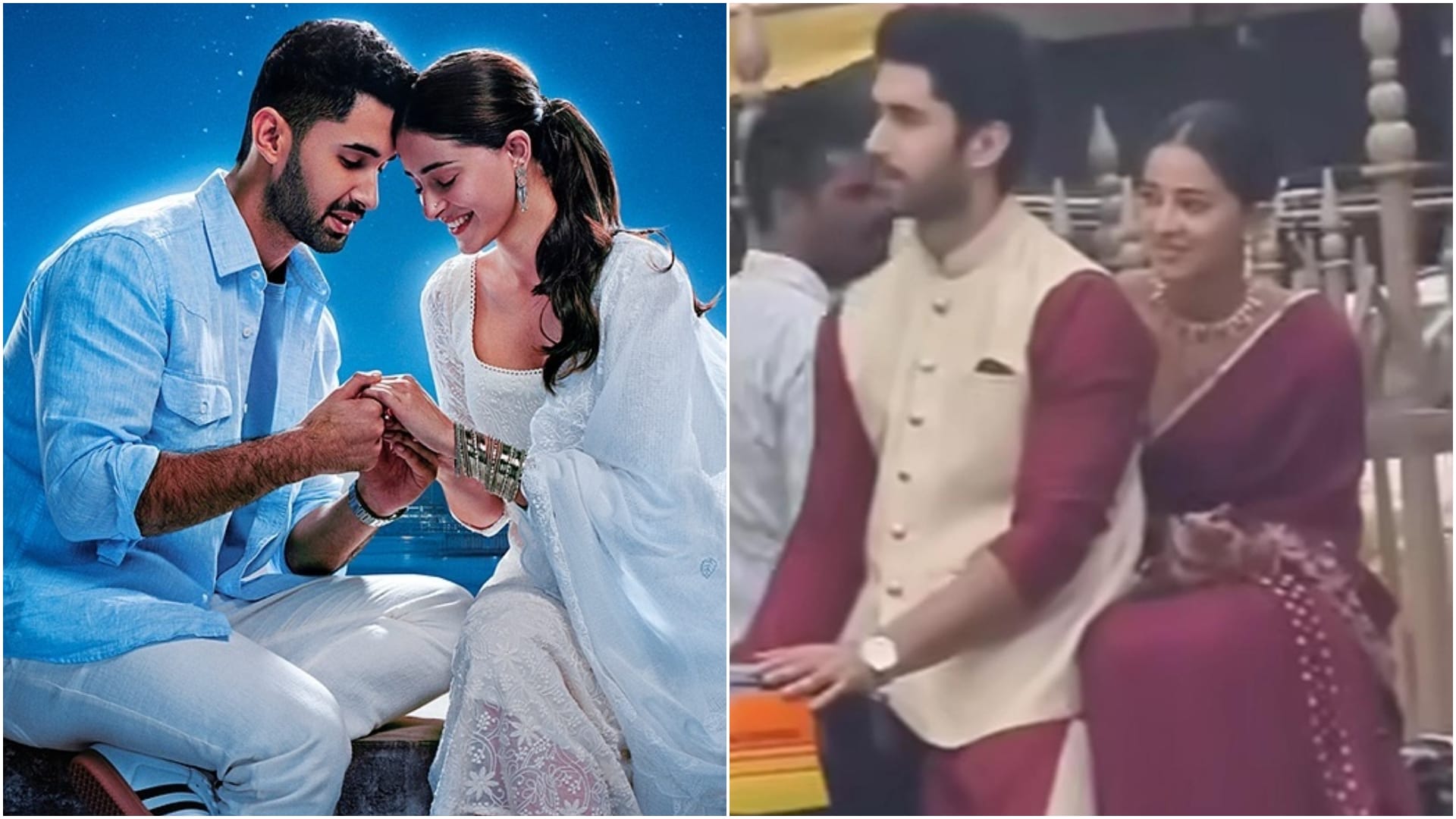 New Year 2026 New Bollywood And South Actors Pairings From Ranbir Sai Pallavi To Varun Pooja
