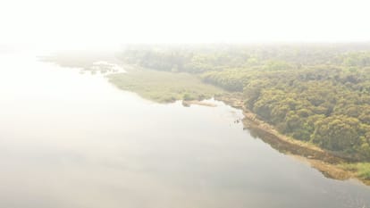 Bihar News: The state received two new Ramsar sites, bringing the total to five news in Hindi