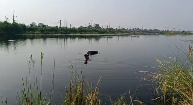 Kanpur body of young man found floating under culvert of Chhamak drain suspicion of murder and throwing body