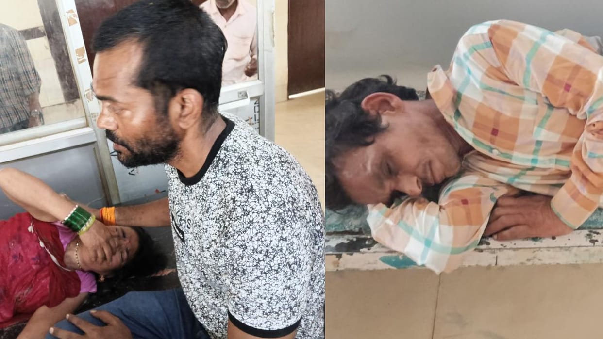 Jhansi: Bees attack Tara Mai temple...family from Indore becomes victim, admitted to hospital
