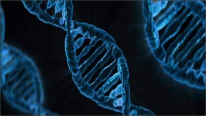 Meerut: Victim attempts suicide in police station, DNA sample of rape accused taken, court sends him to jail