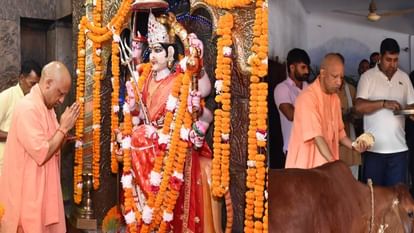 CM Yogi Adityanath performed puja at Devipatan temple served cows by feeding them grams jaggery and roti