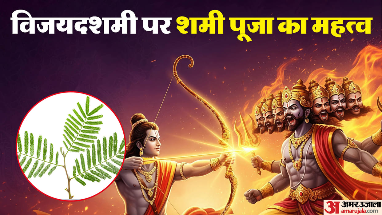 Why Shami Tree is Worshipped on Vijayadashami know the religious and astrological importance in hindi disprj