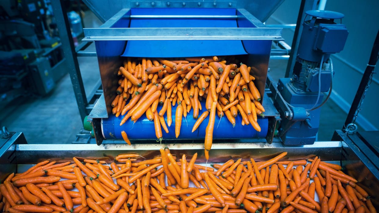 26 companies to invest Rs 1.02 lakh crore in food processing sector; will create over 10 lakh jobs