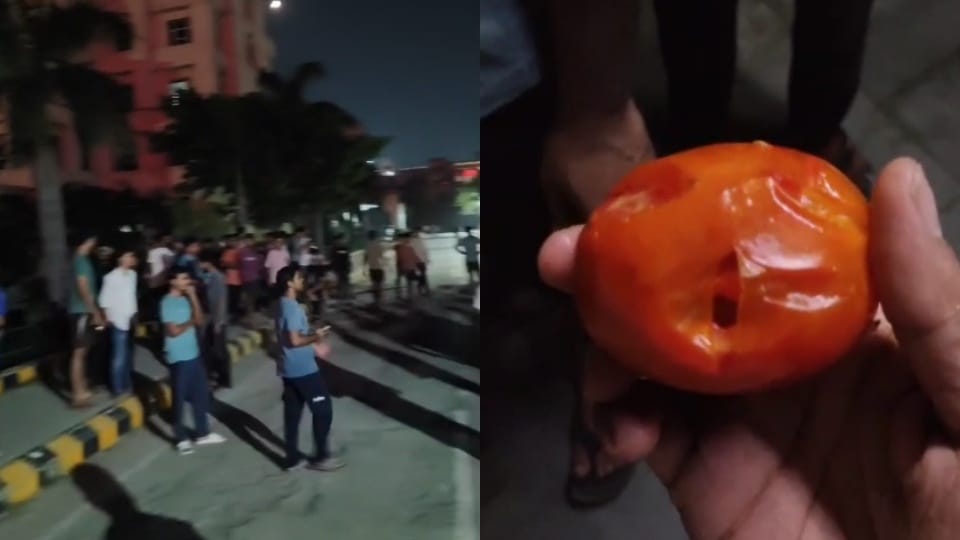 Students at ITS Engineering College created a ruckus after being served food with insects
