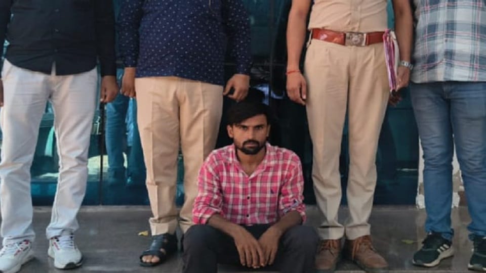 Police arrested accused in cyber fraud case