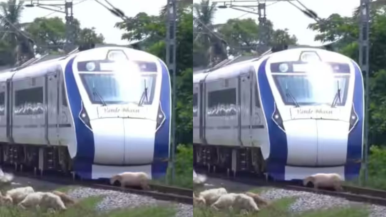 A sheep suddenly appeared on the railway track, was blown to pieces by the Vande Bharat train Video Viral
