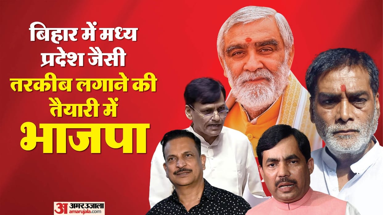Bihar Assembly Election 2025 BJP Leaders Giriraj Singh Shahnawaz Hussain and other faces in list of probables