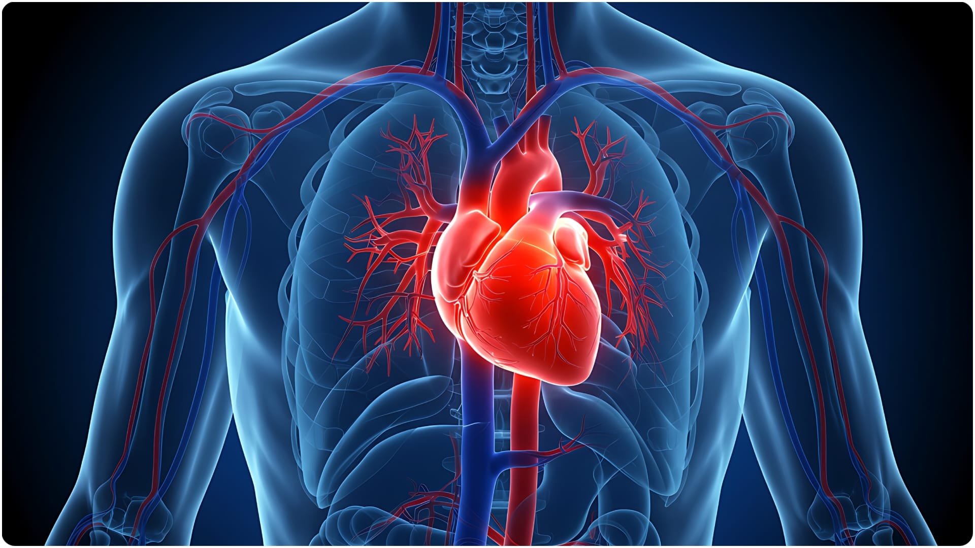 Health Tips: Impact of Energy Drinks on Your Body What You Should Know