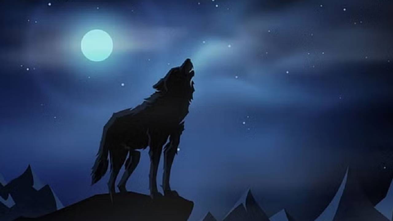 Wolves terrorize Uttar Pradesh Couple chewed alive Bahraich villagers trapped in their home