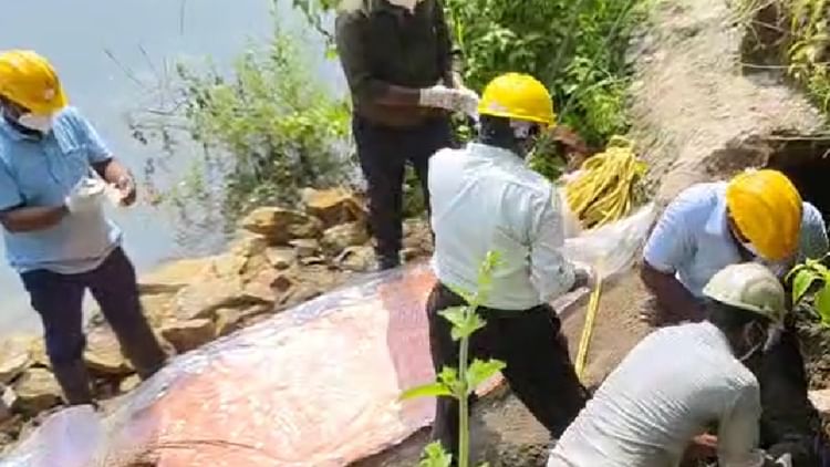 Surajpur: अवैध कोयला उत्खनन के दौरान सुरंग धंसी, अंदर फंसा युवक, 24 घंटे बाद बरामद हुआ शव