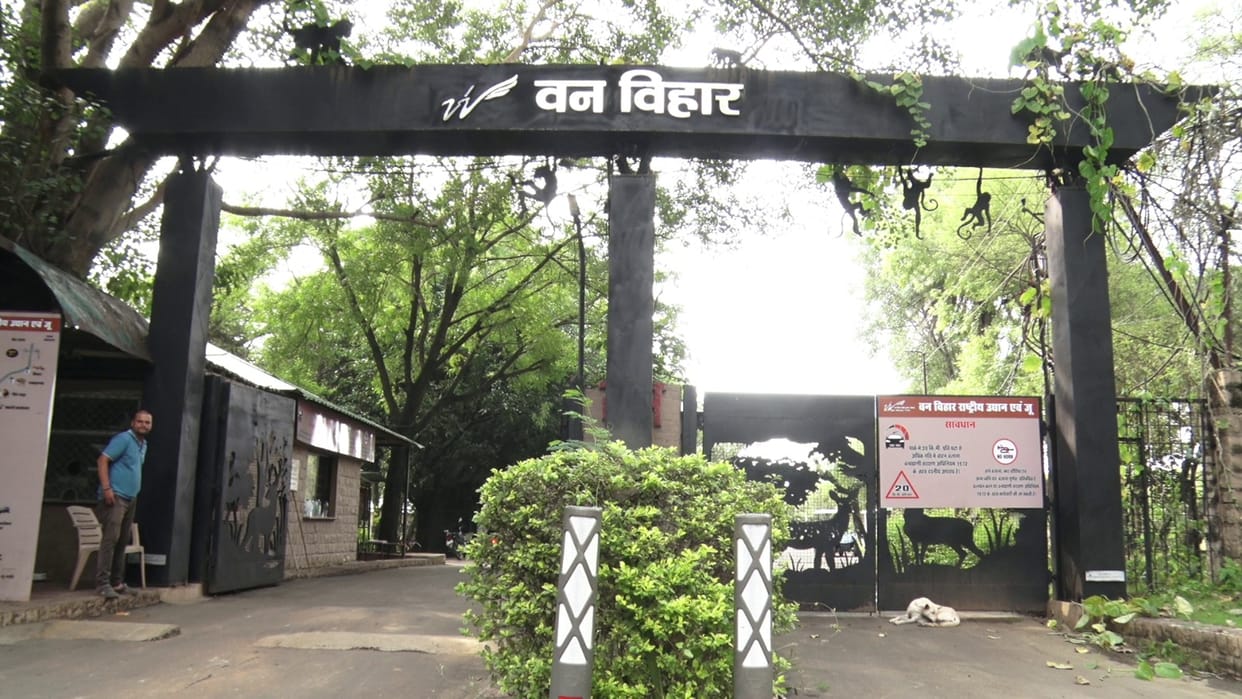MP News: Van Vihar will become a no-vehicle zone from today, state-level wildlife week from October 1 to 7, CM
