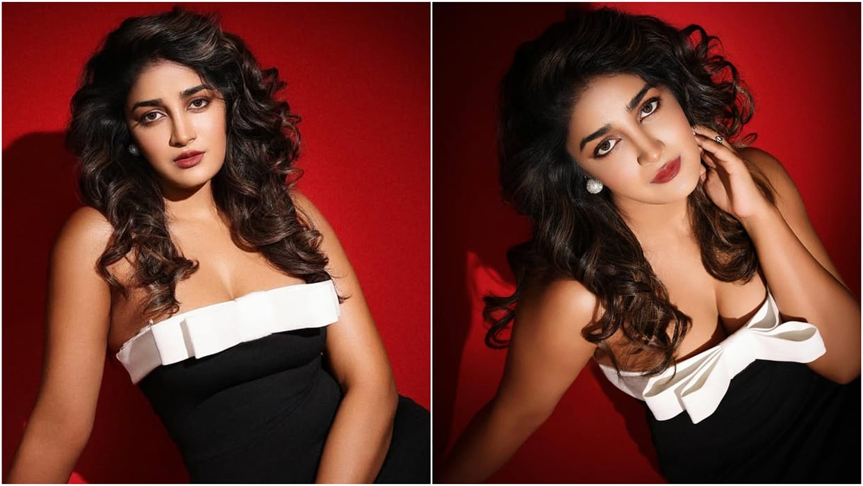 Telugu Actress Dimple Hayathi And Her Husband Have Been Booked For Allegedly Harassing And Abusing Servants