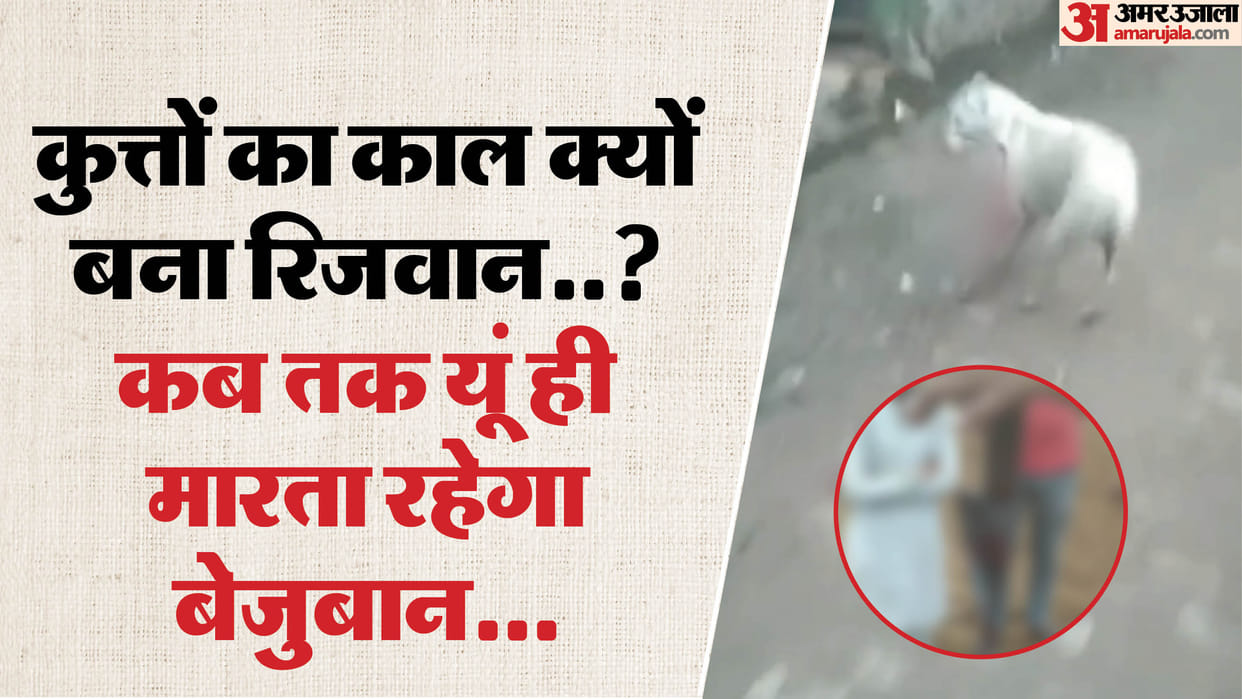 man knife stabbed into a dog chest in nagina
