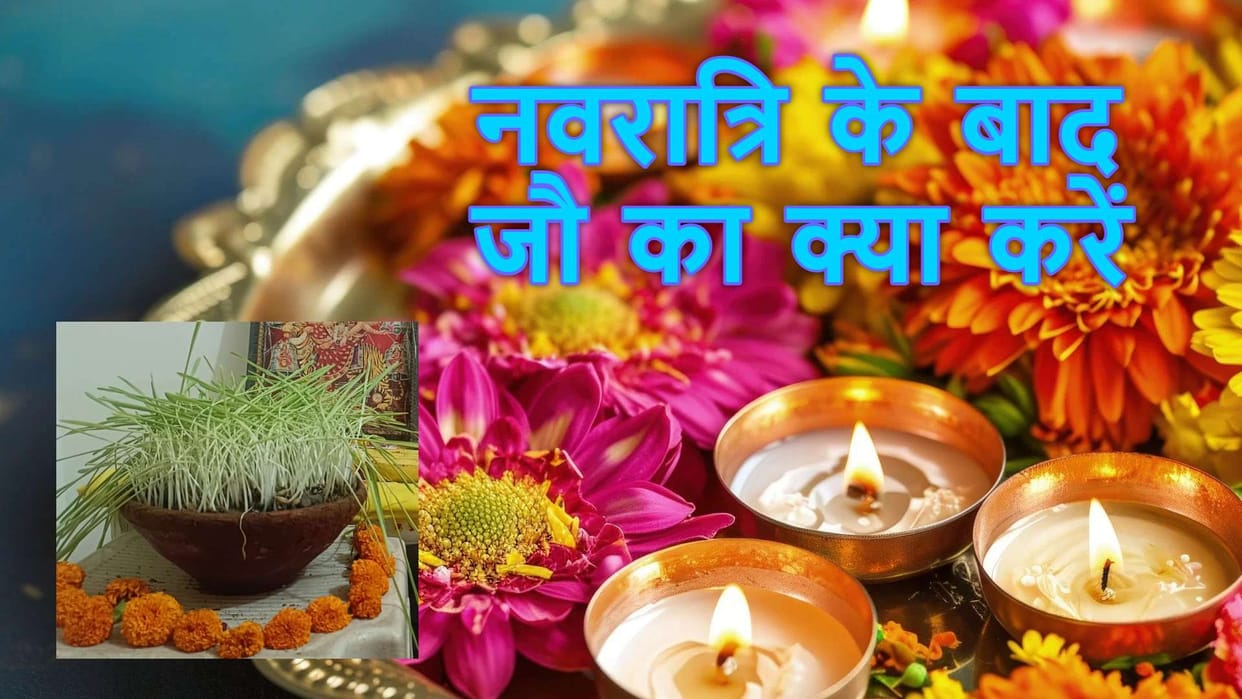 What to do with barley grown during navratri ke bad jaware ka kya karen