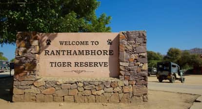 New tourist season begins in Ranthambore