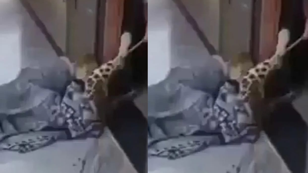 Woman tames leopard puts cloth on body and ties rope to legs people salute her Video goes Viral