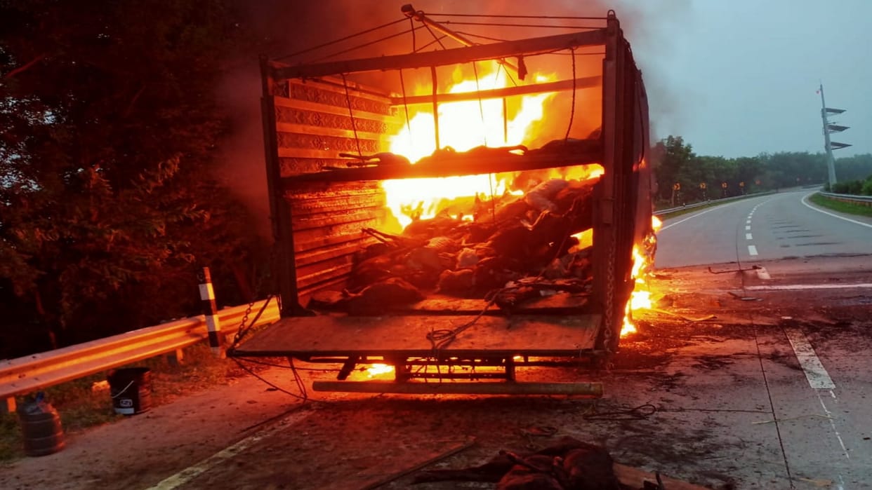 : A truck caught fire, burning more than a hundred goats alive.