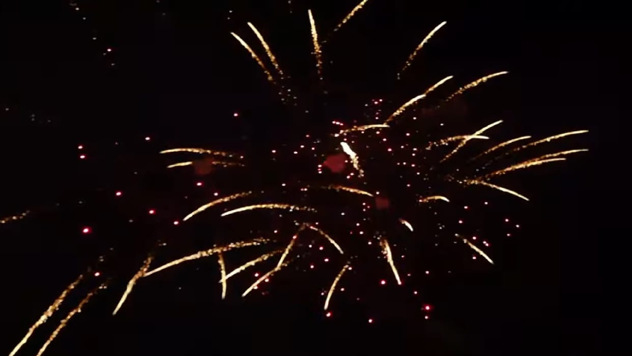 Special on fireworks: A moment's joy can endanger life