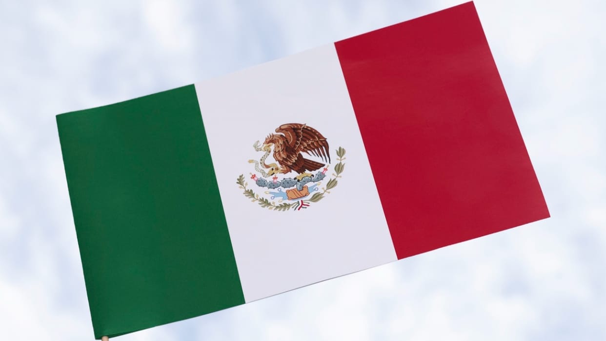 Mexico Migrants Protest: march toward capital; demand legal status and work opportunities