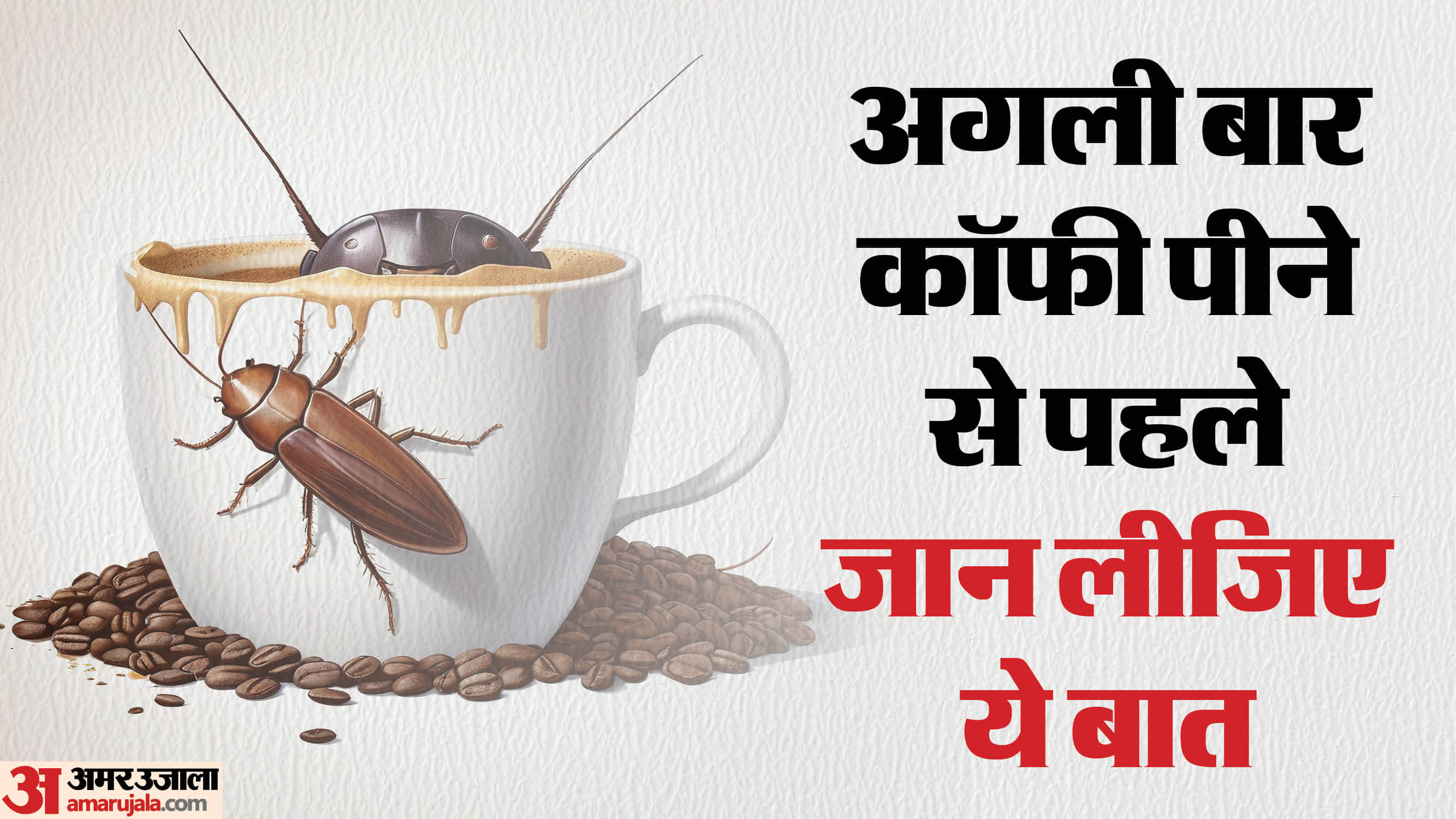 Cockroaches in Coffee  studies found that there is a possibility of cockroaches in coffee