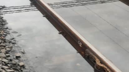 Bihar Weather: Rainfall in several districts of Bihar, red alert issued, thunderstorms, waterlogging