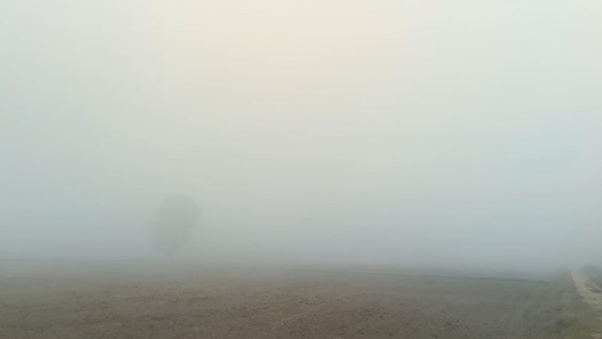 Yellow and Orange alert in Haryana: Western disturbance will be active from tonight
