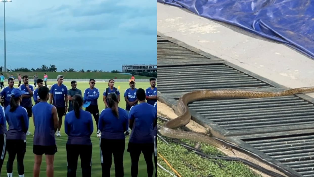 Snake slithers in during India women's cricket team training in Colombo ahead of World Cup match against PAK