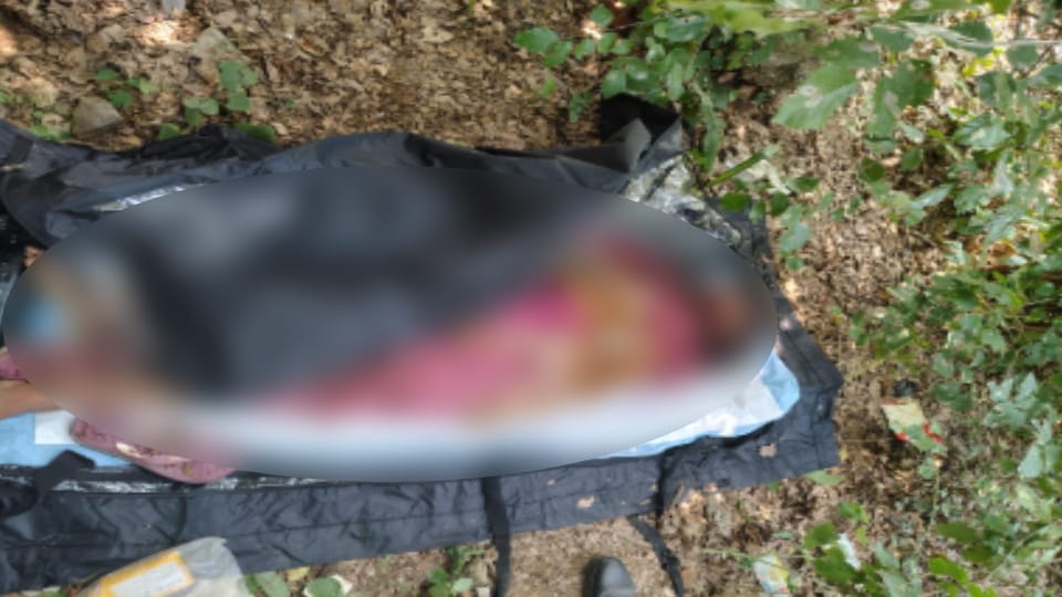 Murder of woman: Throat cut and body hidden in bushes, Deepak, Dharampal and Anita written on hand