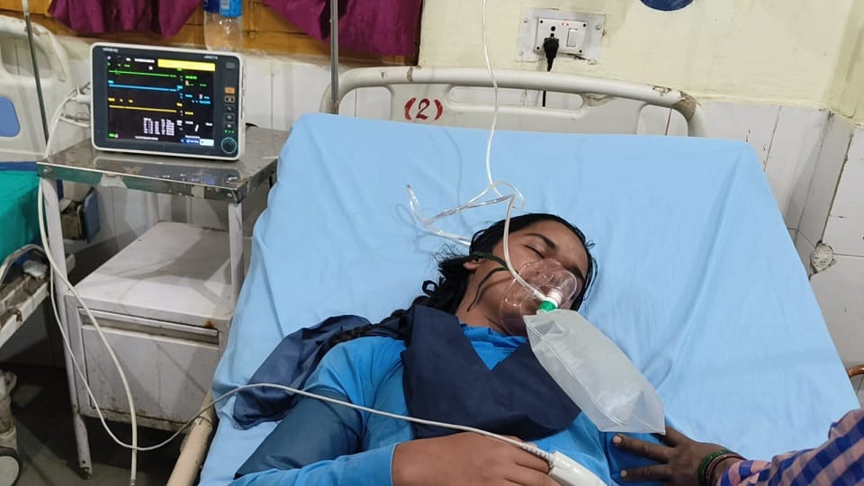 Wasps attack school going children in pithoragarh