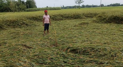 north bihar rainfall crisis muzaffarpur flooded shiher crop damage ara drain overflow