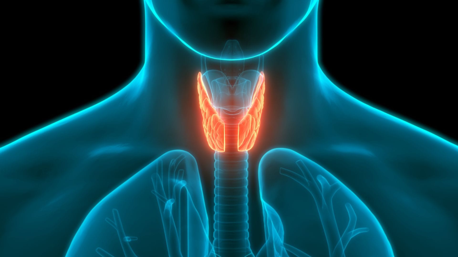world thyroid day 2026 thyroid risk men vs women know causes and risk factors in hindi